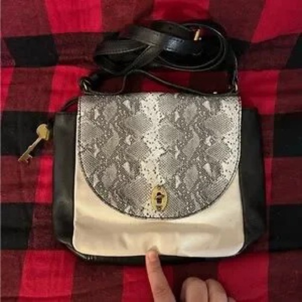 Classic Neutral Snake-Print Crossbody Bag - Black, Cream & Gray